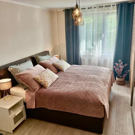 Apartment Am Hochwald Reinhardtsdorf-Schona Buitenkant foto