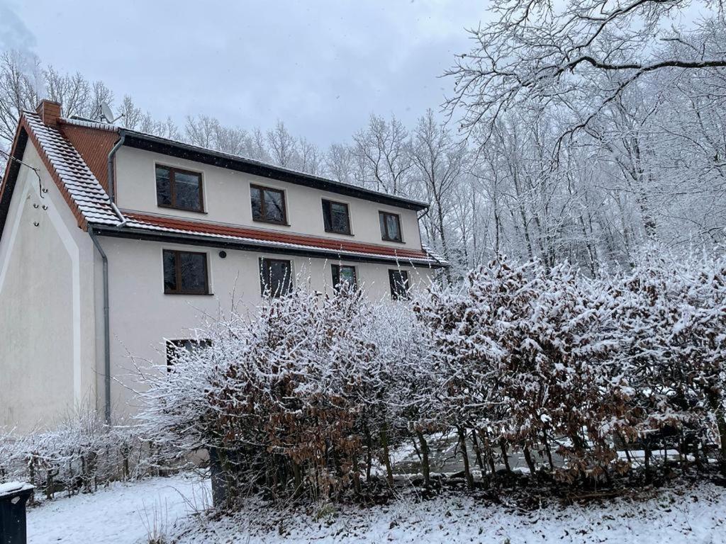 Appartement Am Hochwald *