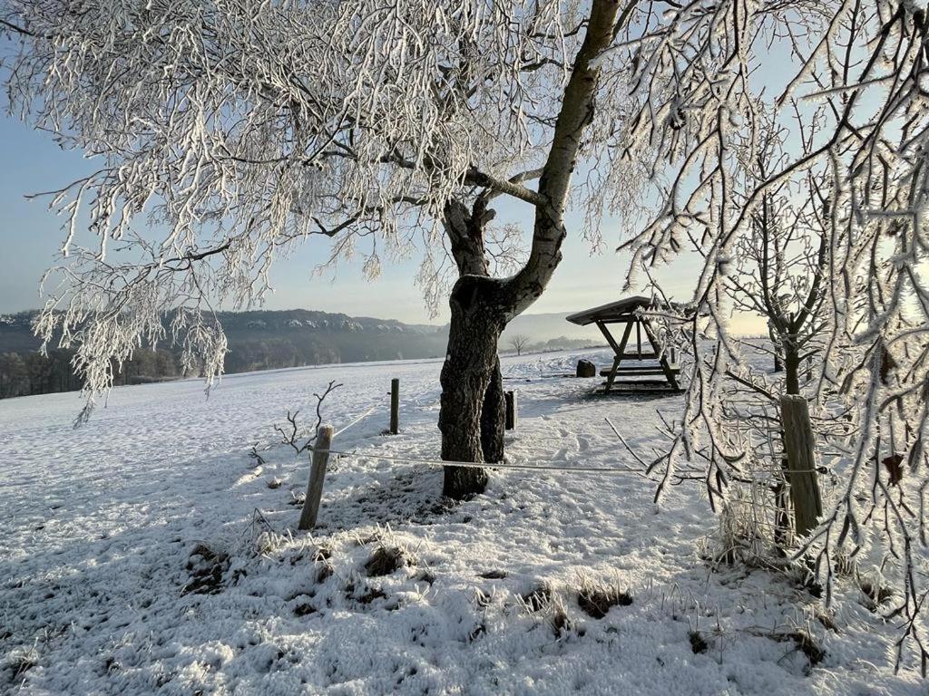 Am Hochwald Appartement Reinhardtsdorf-Schona